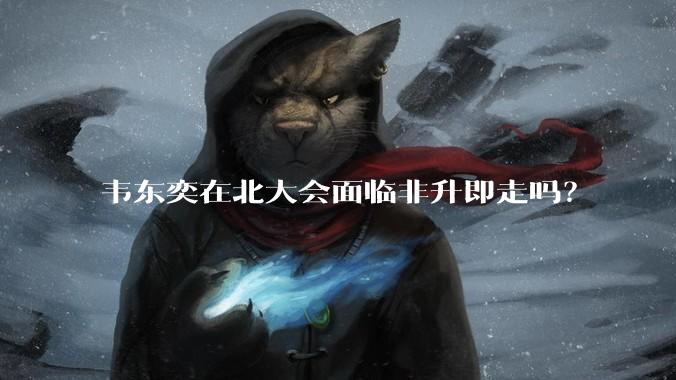 韦东奕在北大会面临非升即走吗？